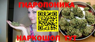 ГАЛЛЮЦИНОГЕННЫЕ ГРИБЫ Краснознаменск